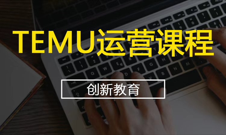 TEMU运营课程